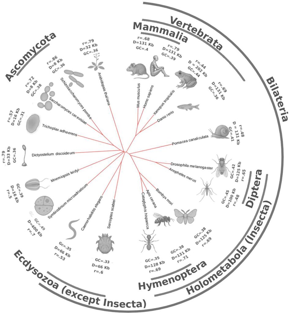 Copyright: Oxford University Press